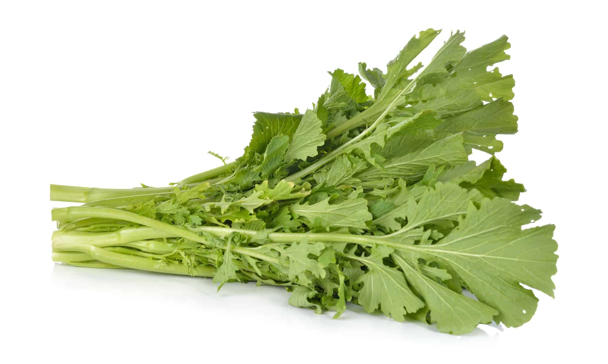 Turnip Greens vs Collard Greens: What’s the Difference? - Wiki Point