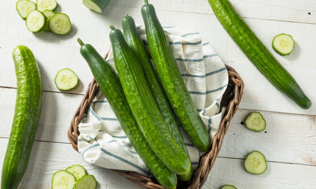 English Cucumber vs Cucumber