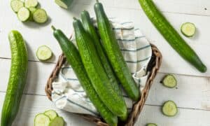 Is Cucumber A Fruit Or Vegetable? How About Pickles? Here’s Why Picture