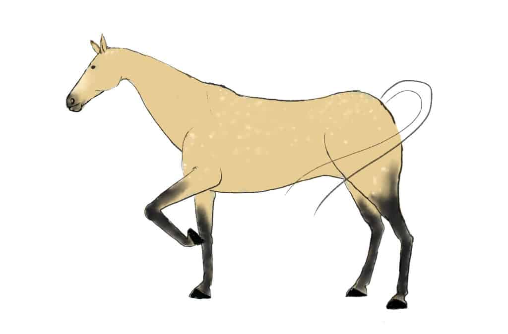 Horse drawing step 4