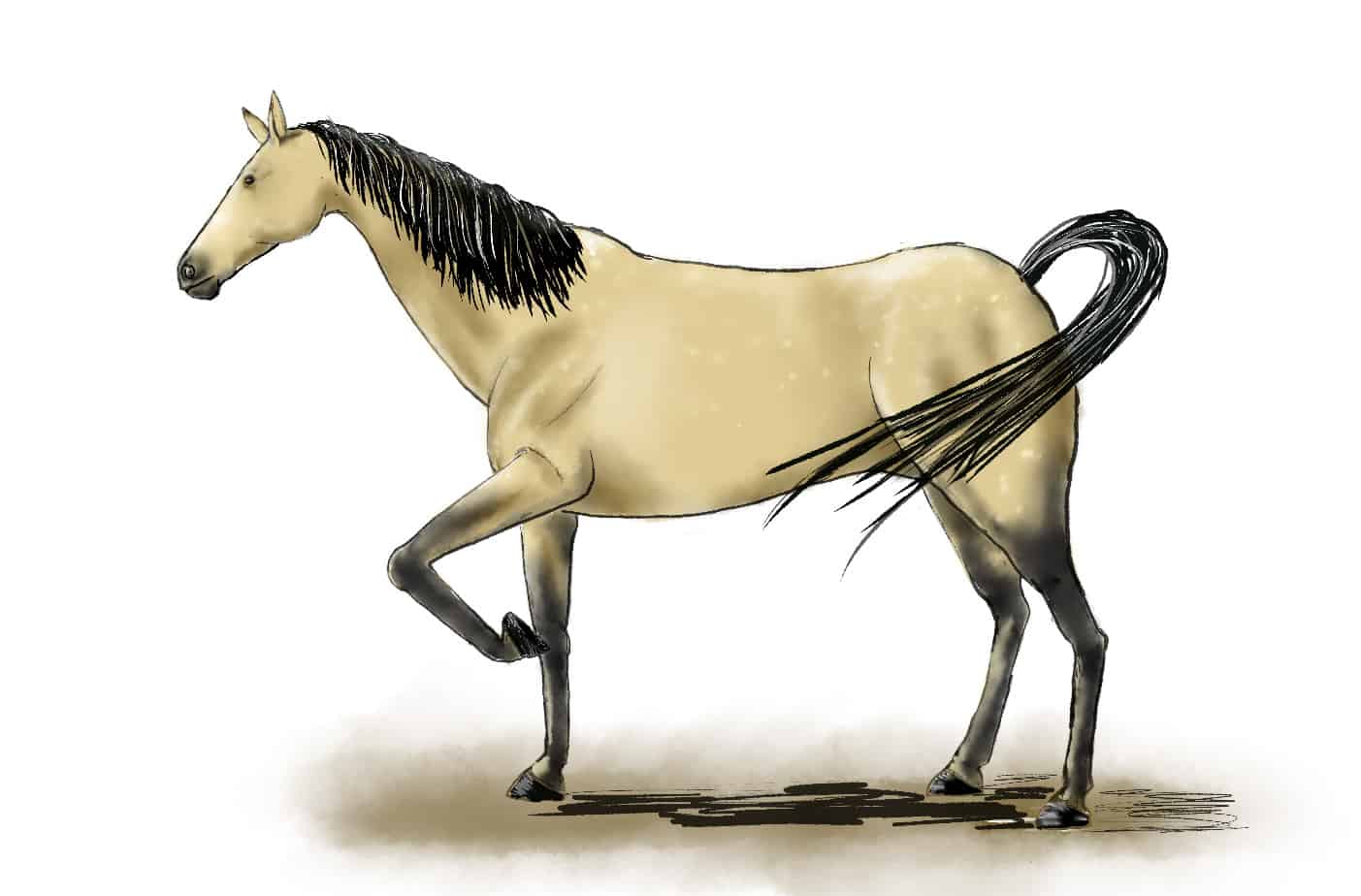 drawings of spirit the horse