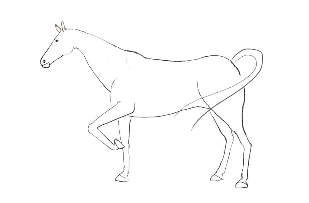 How To Draw A Horse In 6 Easy Steps Az Animals