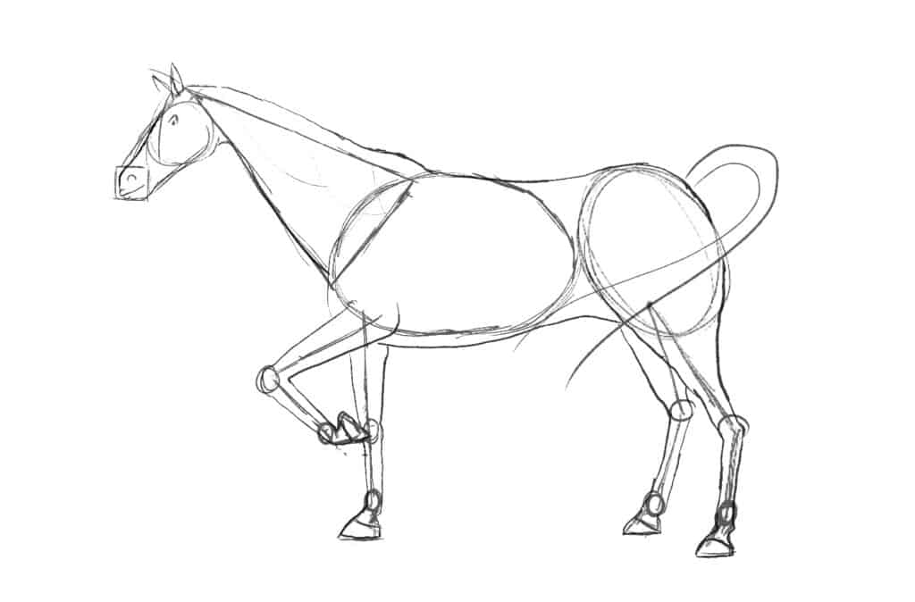 Horse drawing step 2 - sketch
