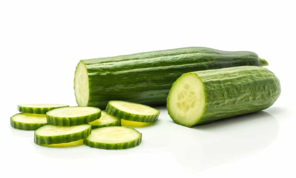 English Cucumber vs Cucumber