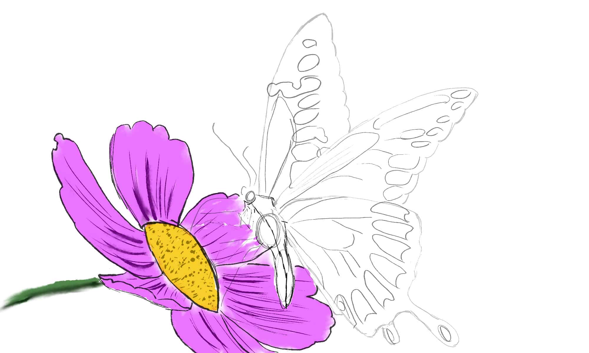 step-by-step-drawing-butterfly-for-kids-peepsburgh-com