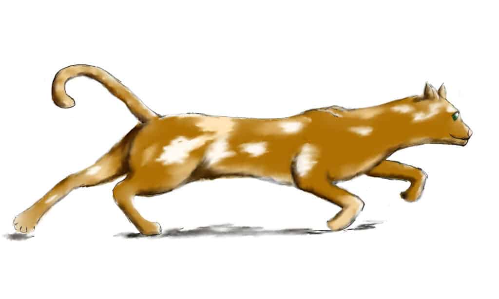 Just another warrior cat design blog — Firestar