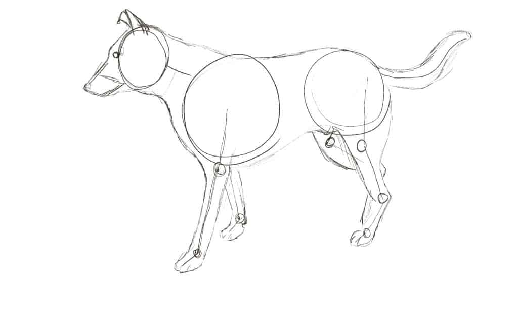 how to draw a dog step 3