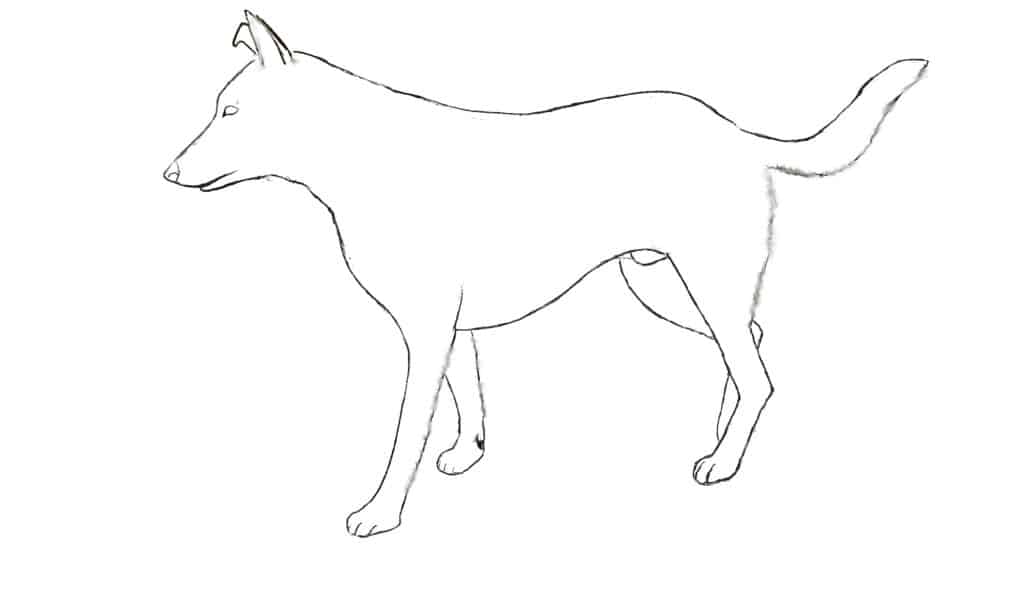 how to draw a dog step 4