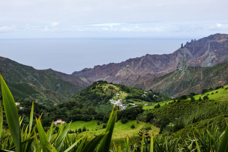 St Helena Fields