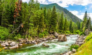 Discover the 11 Best Rivers for Whitewater Rafting in Montana Picture