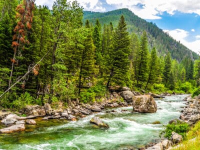 A Discover the 11 Best Rivers for Whitewater Rafting in Montana