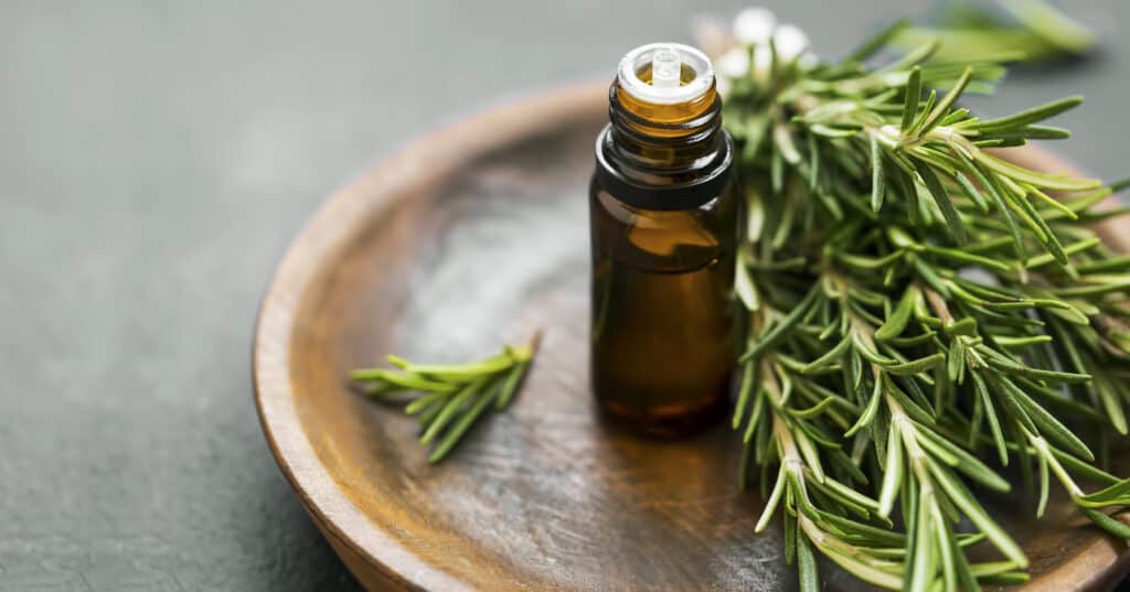 rosemary essential oil