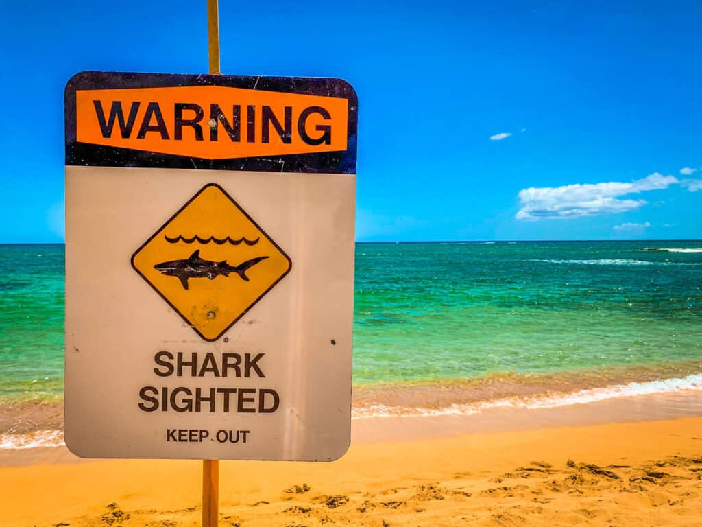 shark sighting sign on beach