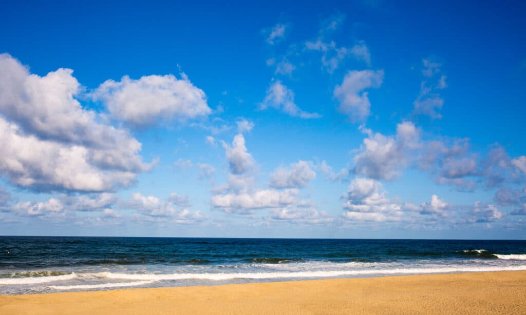 Newcomb Hollow Beach