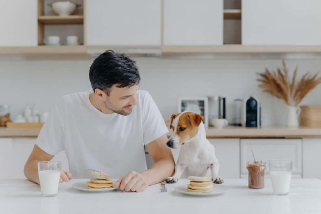 dog and owner eating pancakes
