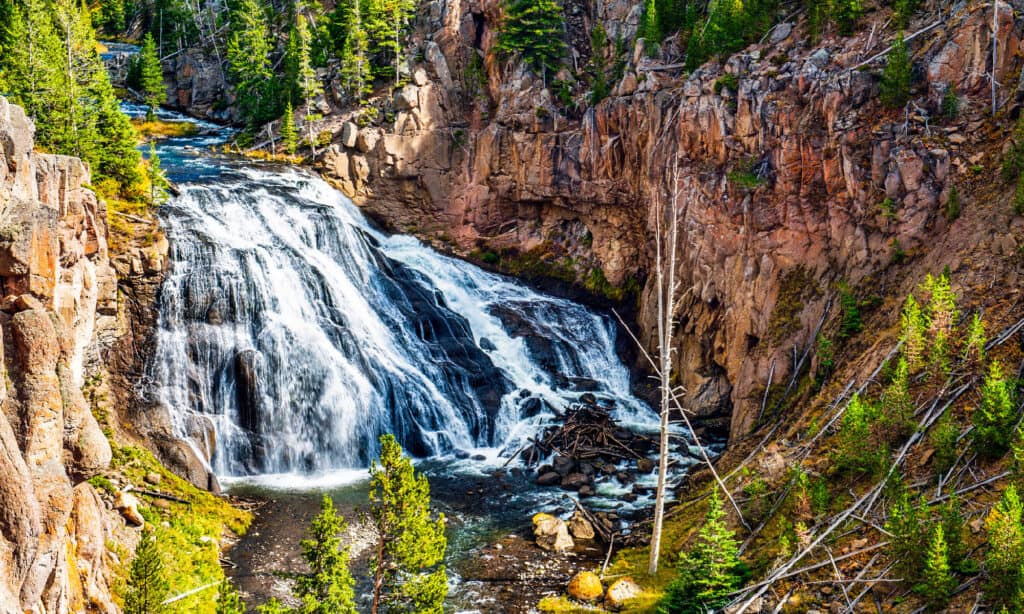 Gibbon Falls in Yellowstone National Park