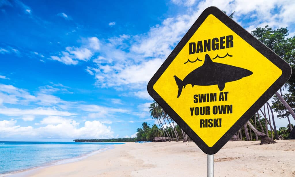 A shark warning sign at the beach