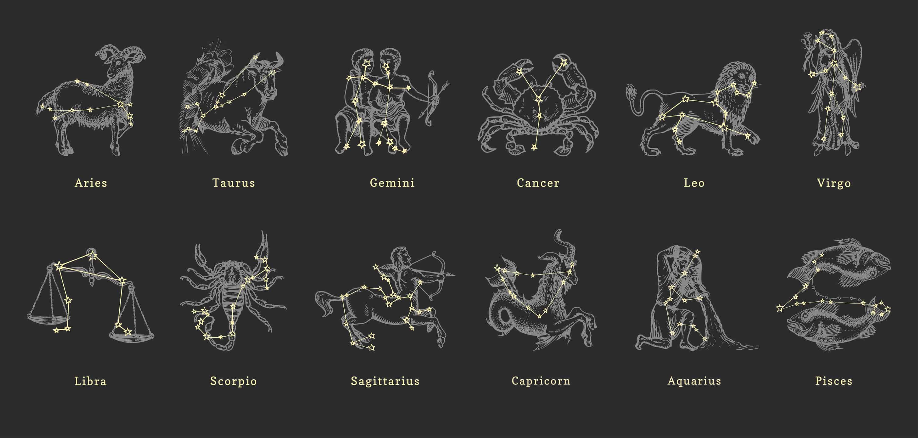 Meet the Capricorn Spirit Animals and What They Mean