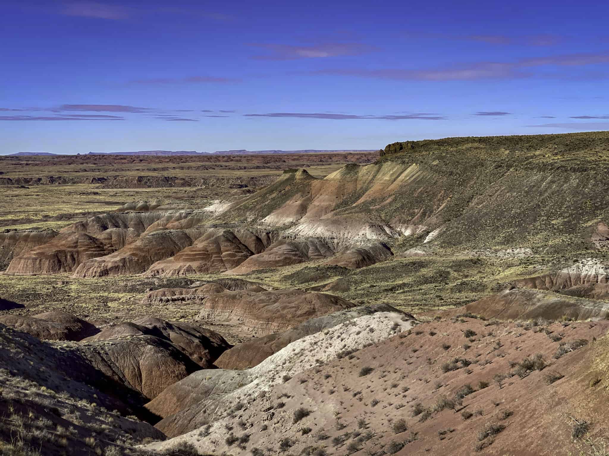 Discover the 8 Most Beautiful Deserts on Earth - A-Z Animals