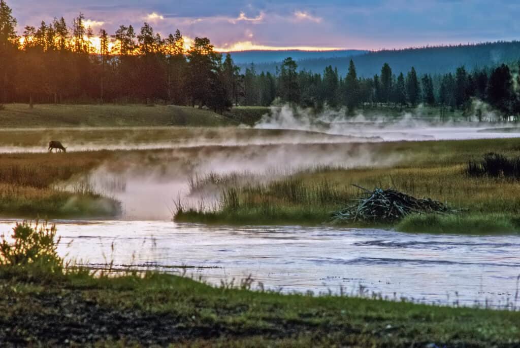 Dòng sông Madison uốn lượn qua Wyoming và Montana.