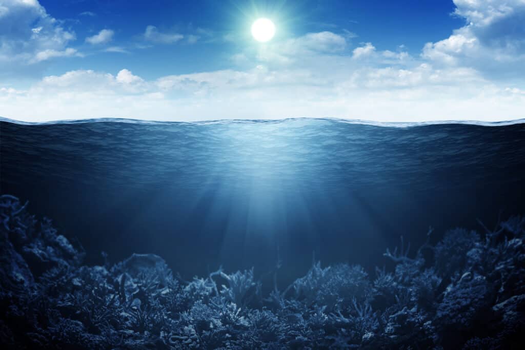 นักวิทยาศาสตร์วิจัยมหาสมุทรเพื่อช่วยการแพทย์แผนปัจจุบัน