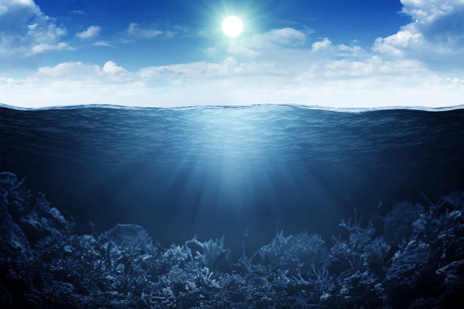 How Many Gallons of Water Are in the Ocean? 10 Mind-Blowing Ocean Facts ...