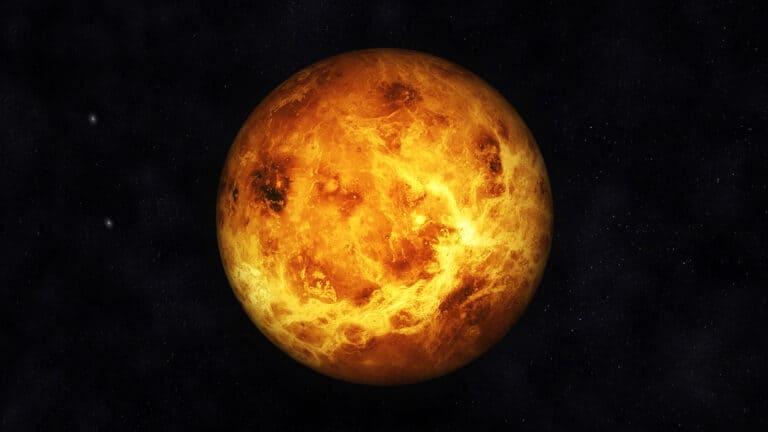 this-is-how-much-you-d-weigh-on-venus-wiki-point