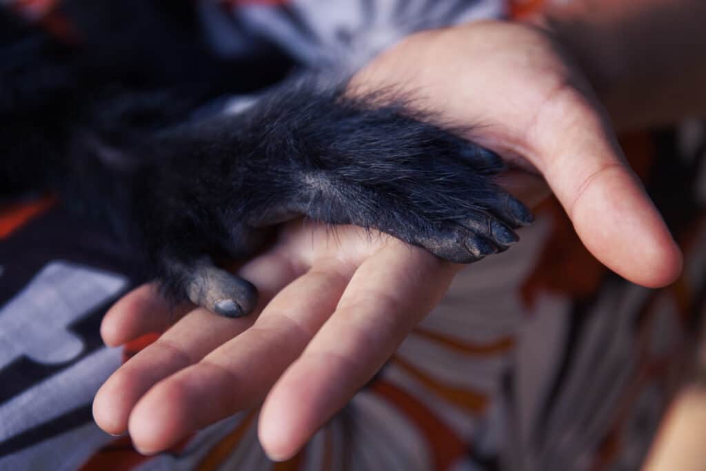 Money hand on top of a human's hand