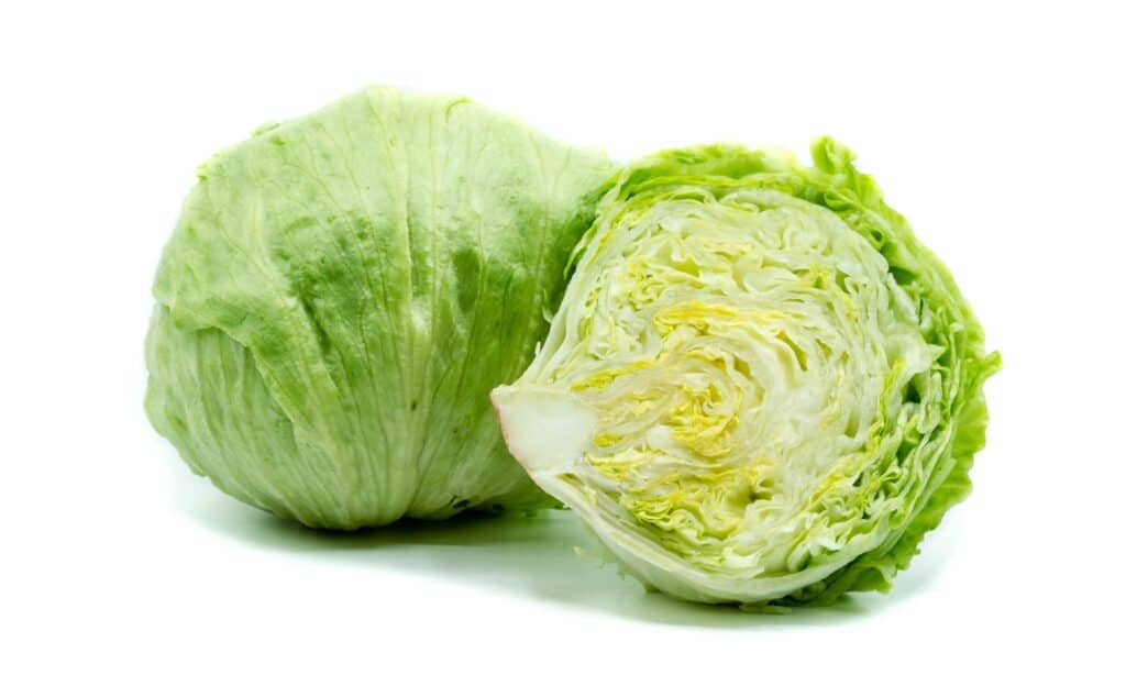 Center frame: A head of iceberg lettuce sliced in half, exposing many inner leaves, which are white and light yellow in the  half of the head  on the right. The left half is turn the opposite direction, with only its outer leaf, which is light green, visible. White isolate background 