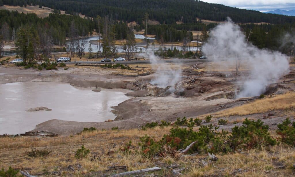 mud-volcano-area-in-yellowstone-national-park-in-wyoming-in-the-usa-picture-id1360812683
