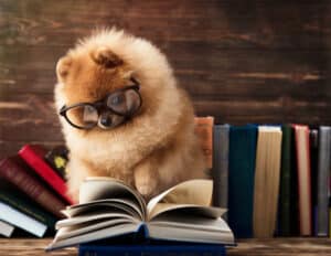 The Best Books About Animals Picture
