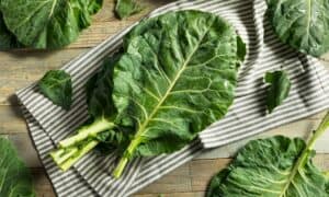 Swiss Chard vs. Collard Greens: What’s the Difference? Picture