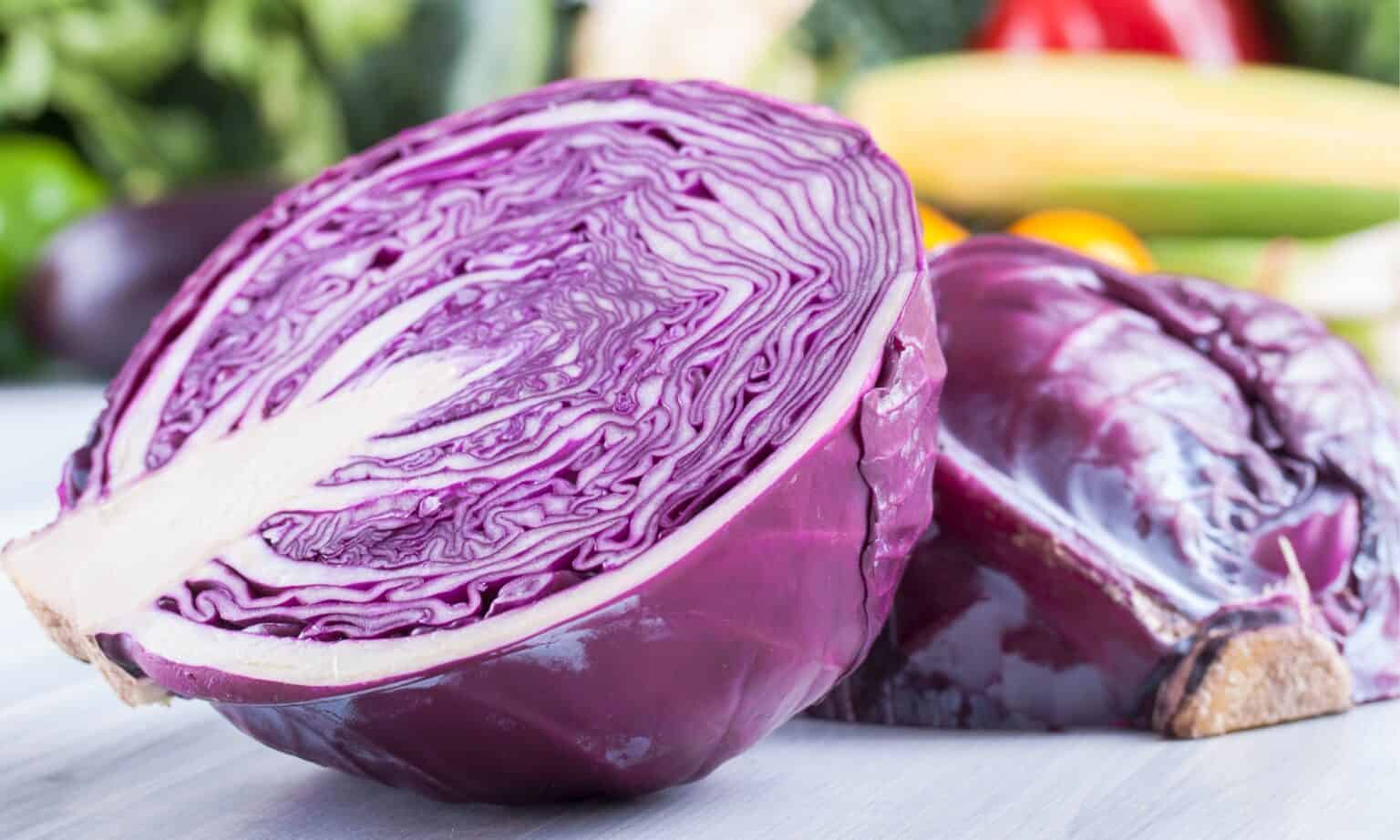 Red Cabbage vs Green Cabbage What’s the Difference? AZ Animals