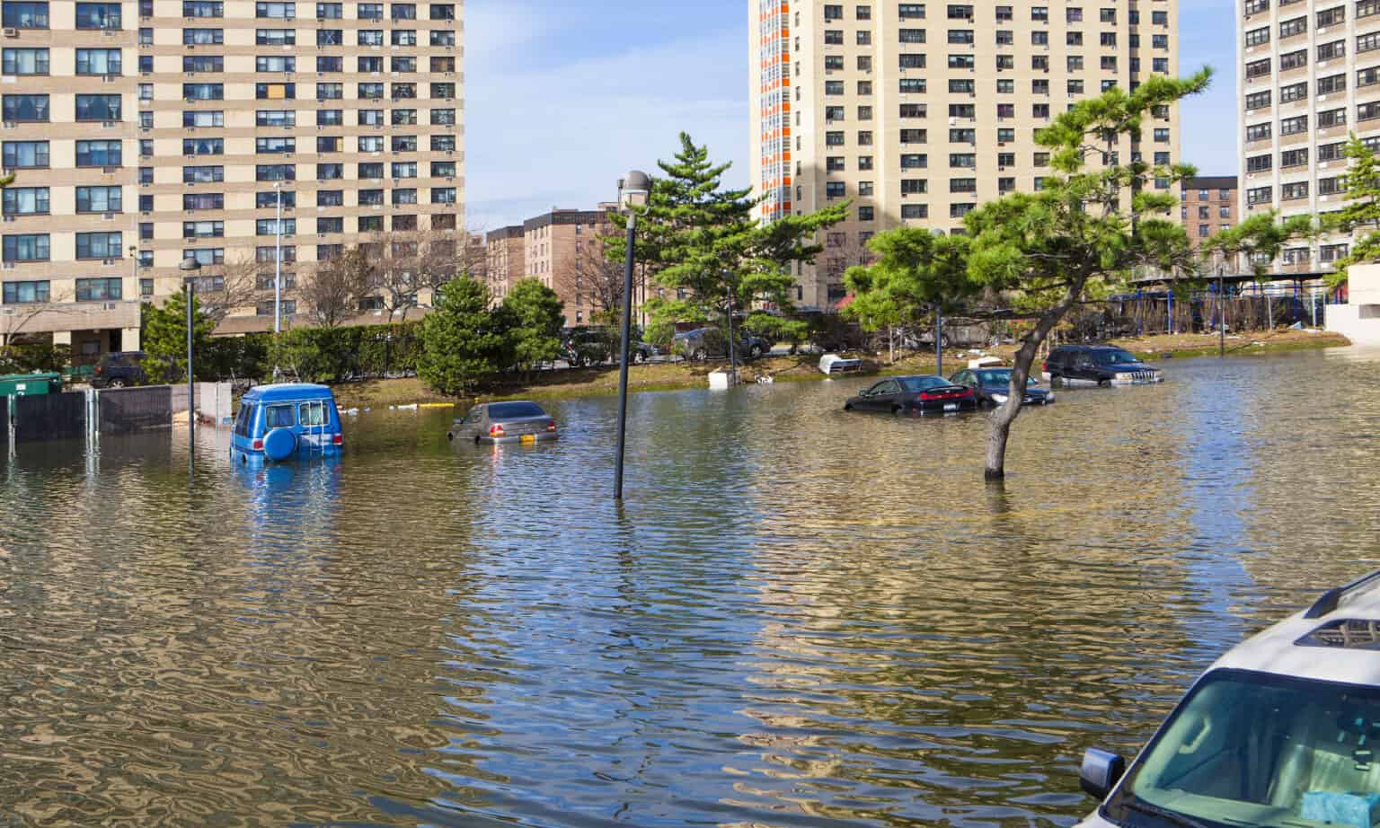 The 3 Worst Flash Floods in New York City's History - A-Z Animals