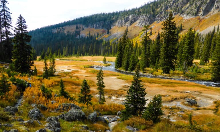 Bechler River