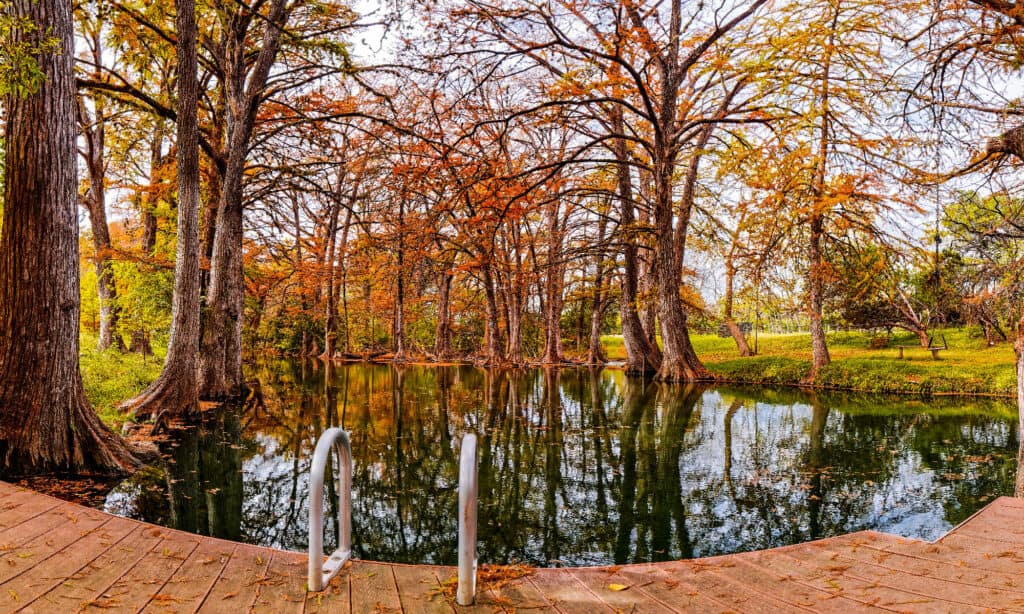 Blue Hole Regional Park Texas