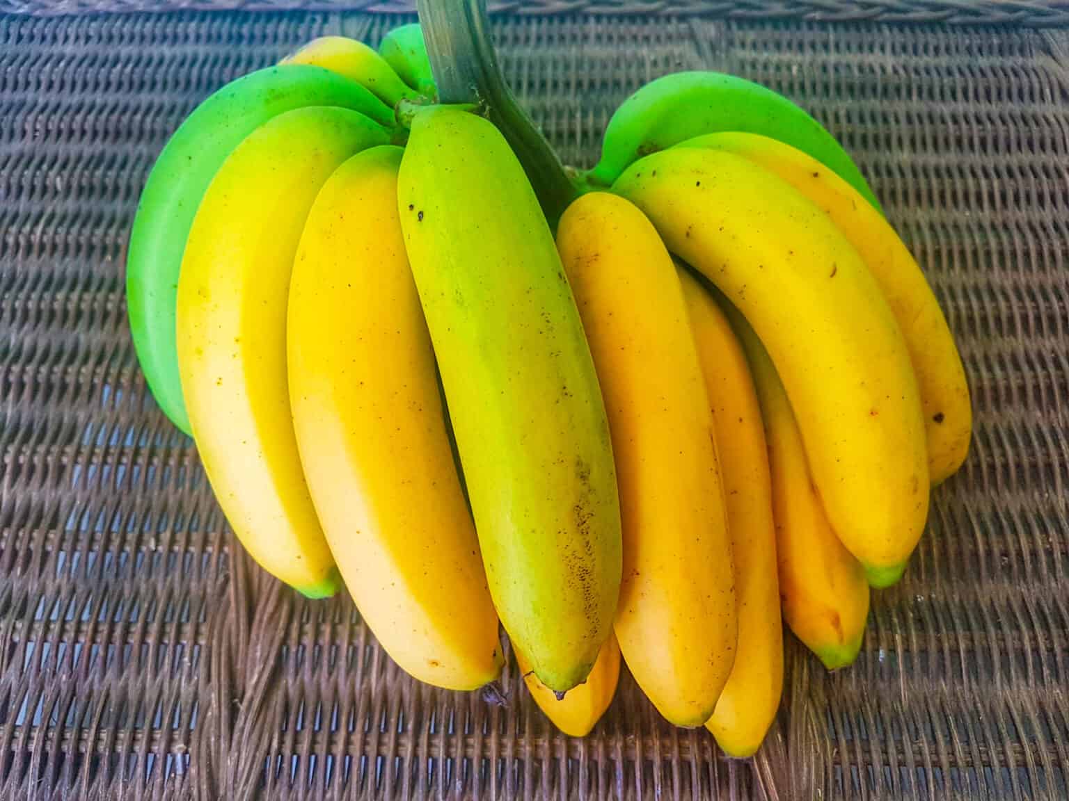 Are Bananas Going Extinct? AZ Animals