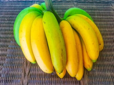 A Is Banana a Fruit or Vegetable? Here’s Why