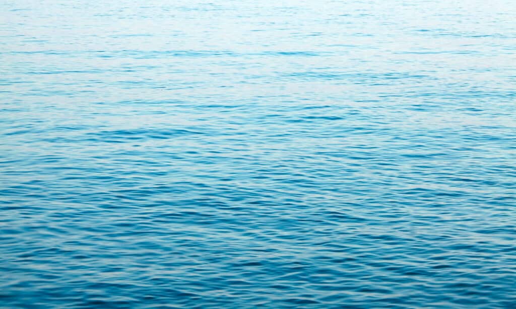 Eau