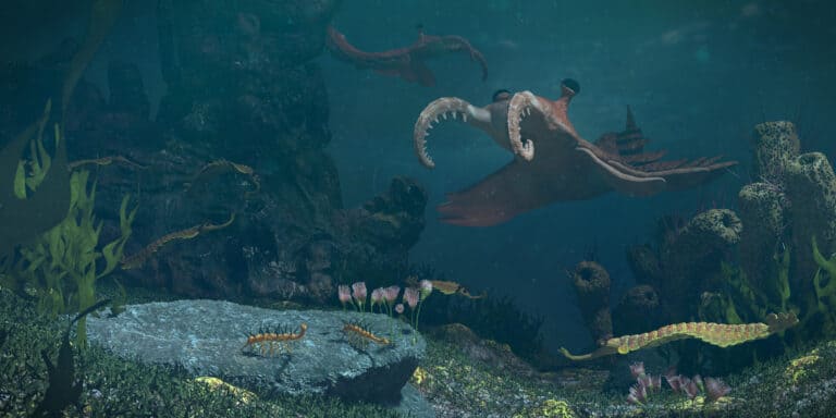 3d science rendering of creatures of the Cambrian period