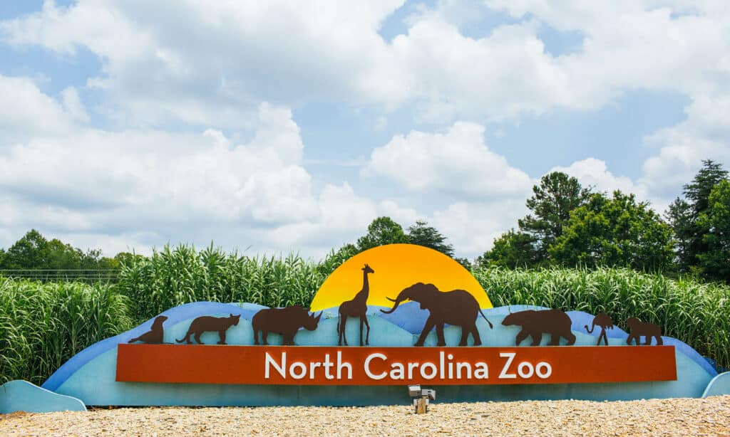Kebun Binatang Carolina Utara