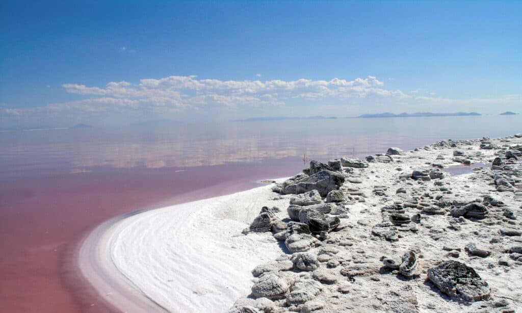 Green algae turns the Great Salt Lake's water red in the north arm of the lake. 