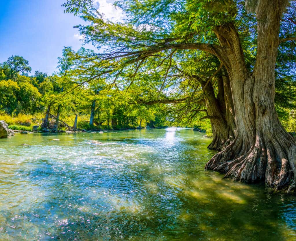 Guadalupe River State Park Texas
