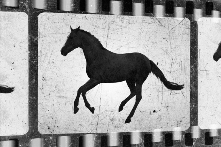 Horse filmstrip