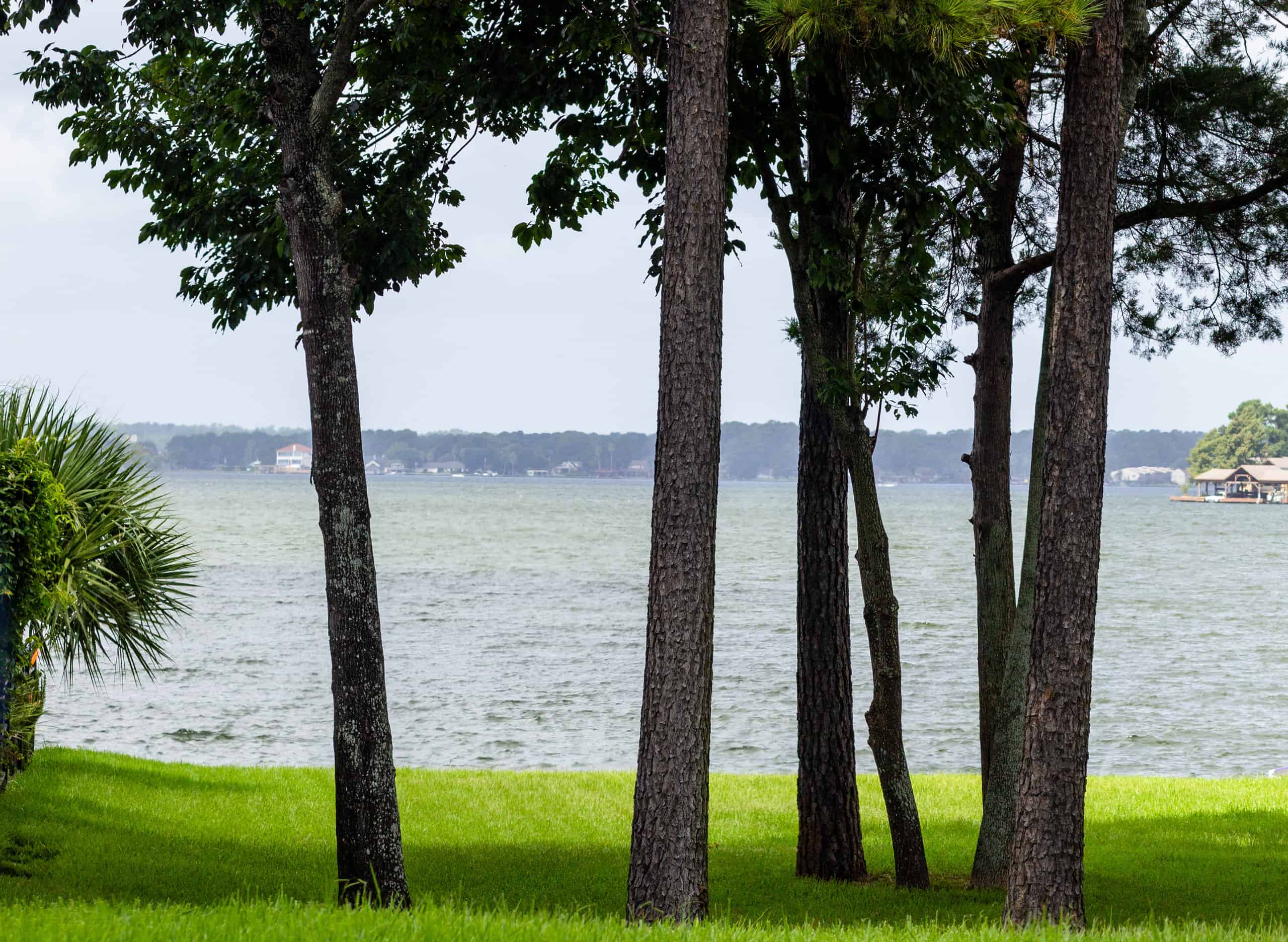 A view through some trees of Lake Conroe, Texas