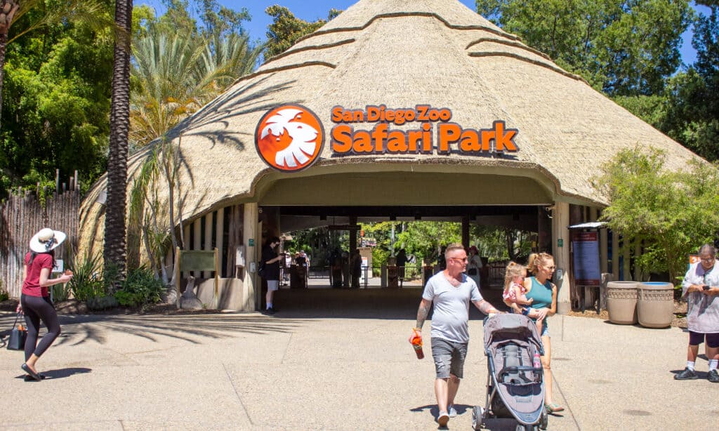 San Diego Zoo Safari