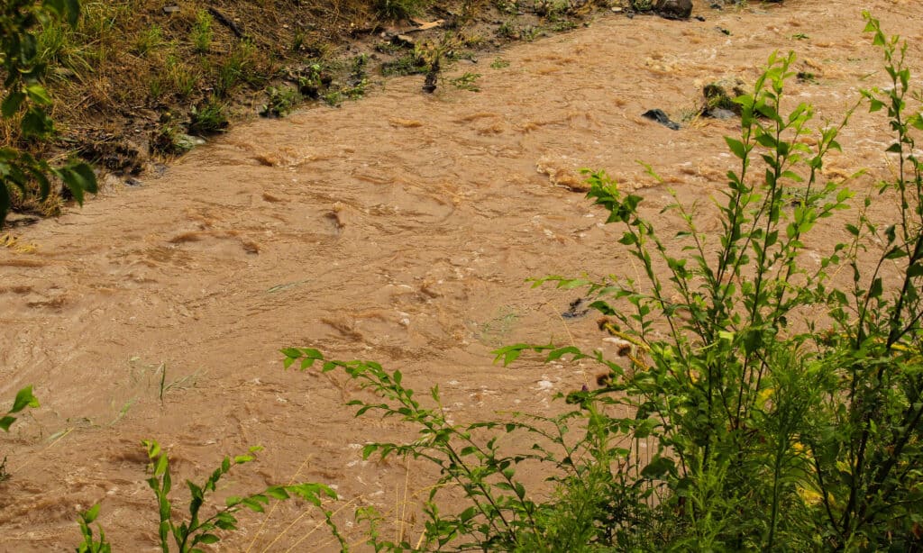  Flood in Prescott