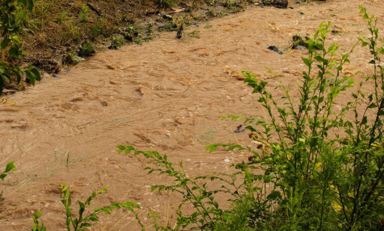 Flood in Prescott