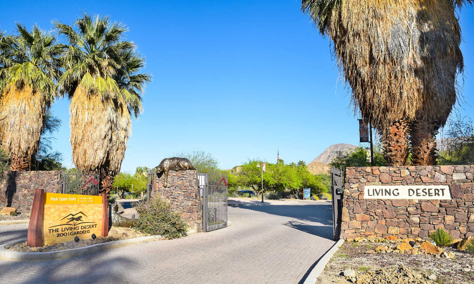 The living desert. Coachella Valley Preserve.