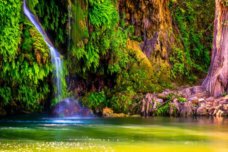 Krause Springs